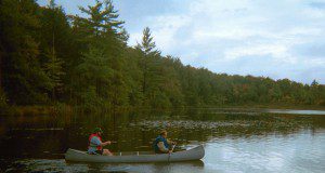 Two people paddling in a canoe