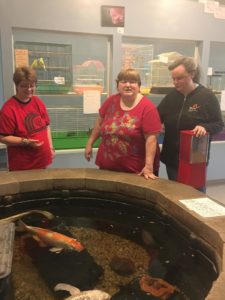 Three people standing in front of an indoor pond with large fish